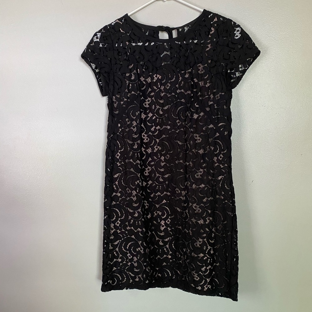 Ann Taylor Loft Lace Dress
